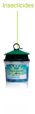 etamine-catalogue_insecticides