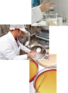 fabrication_web__