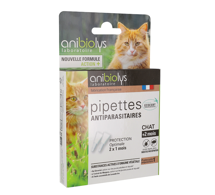 pipette-chat2021