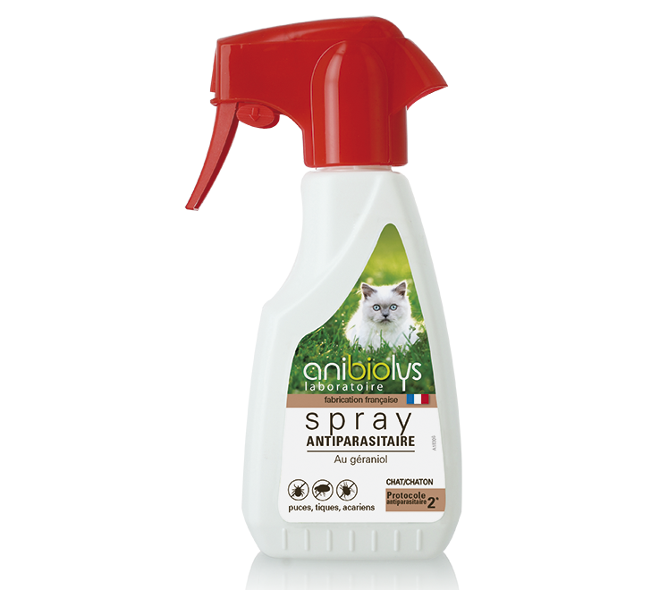 spray antiparasataire chat