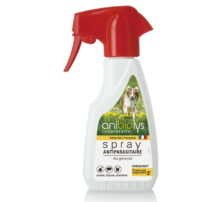 spray antiparasitaire chien