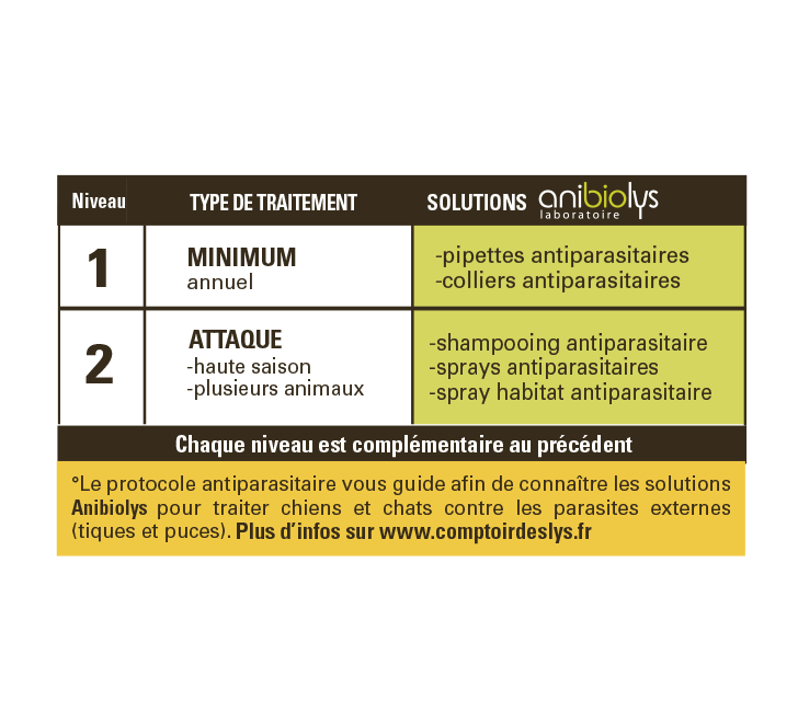 tableau protocole2021